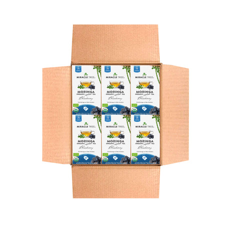 Organic Moringa Tea, Blueberry