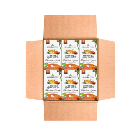 Organic Moringa Tea, Pumpkin Spice