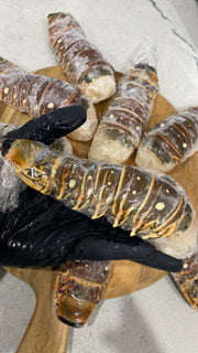 4-Pack 6 oz Lobster Tails