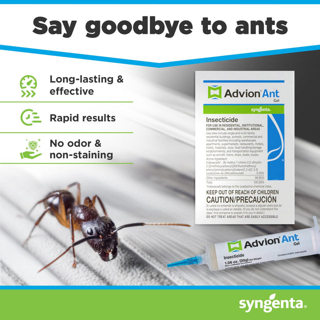 Advion Ant Gel Bait, 1 30-Gram Tube, 1 Plunger and 1 Tip, Effective Bait, Formulated with 0.05% Indoxacarb, Indoor and Outdoor Use, Killer Gel for Control of Most Major Ant Species