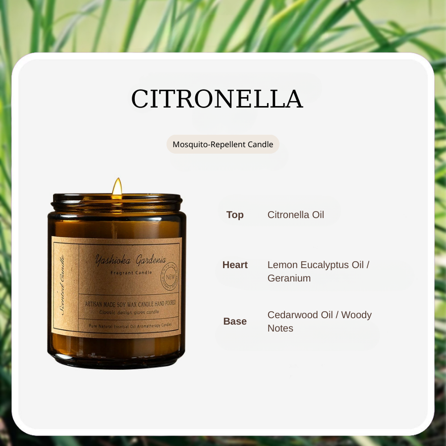 Cream / Palm Candle Fragrance Essential-Oil-Inspired Scented Candle, Low-Smoke Soy Wax Blend, High-End Aromatic Souvenir Candle for Home Décor, Gifting & Everyday Ambience
