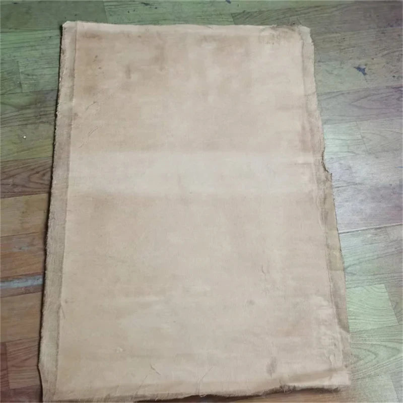 China Old Scroll Painter's Rice Paper Wall Art Slice Shen Quan's Song Mei Double Crane Picture Traditional Asian Decor