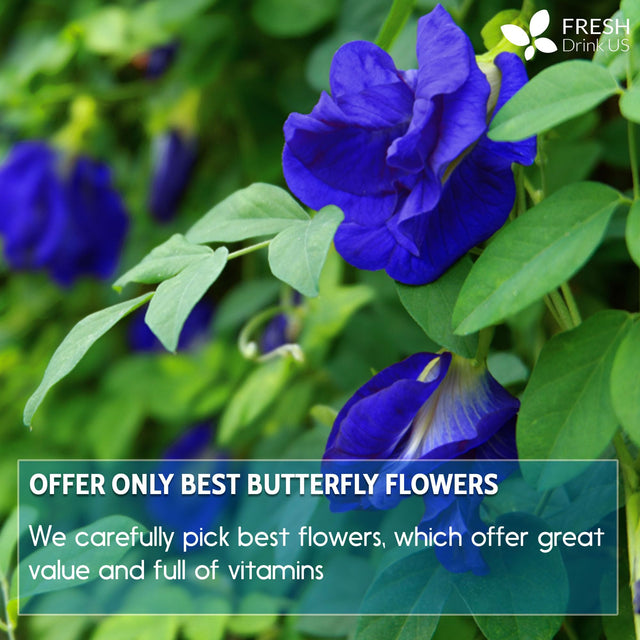 Premium 1010+ Butterfly Pea Flowers, 100% Natural, Loose Leaf Herbal Tea, No Gluten, Vegan