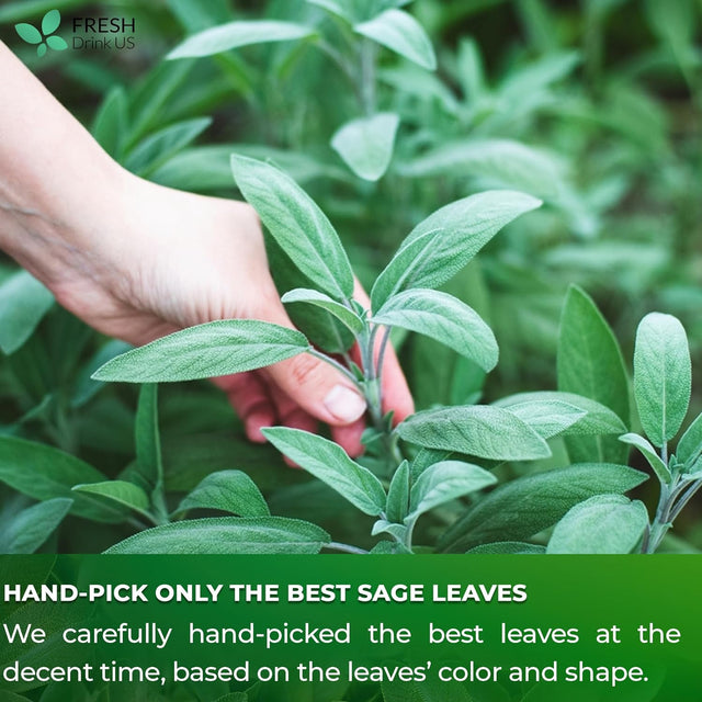 Sage Leaf Tea Bags, 100% Natural & Pure from Sage Leaves. Loose Leaf Sage Herbal Tea. Sage Leaf Tea. Made with Natural Material Tea Bags. No Sugar, No Caffeine, No Gluten, Vegan.