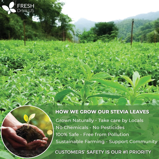 Stevia Leaf, Whole Dried Leaves, Tea Bags, Powder, 100% Natural and Pure from Stevia Leaves. Sugar Substitute for Tea, Coffee. Loose Leaf Stevia Herbal Tea. Zero Calorie Sweetener. No Sugar, No Caffeine, No Gluten, Vegan. - FreshDrinkUS - Natural and Premium Herbal Tea
