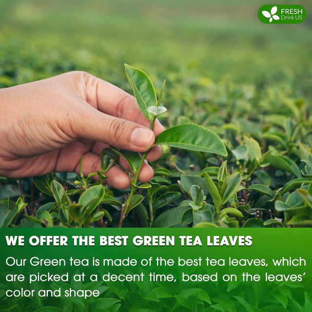 Premium Green Tea Bags, 100% Natural & Pure from Green Tea. Green Herbal Tea. No Sugar, No Gluten, Vegan