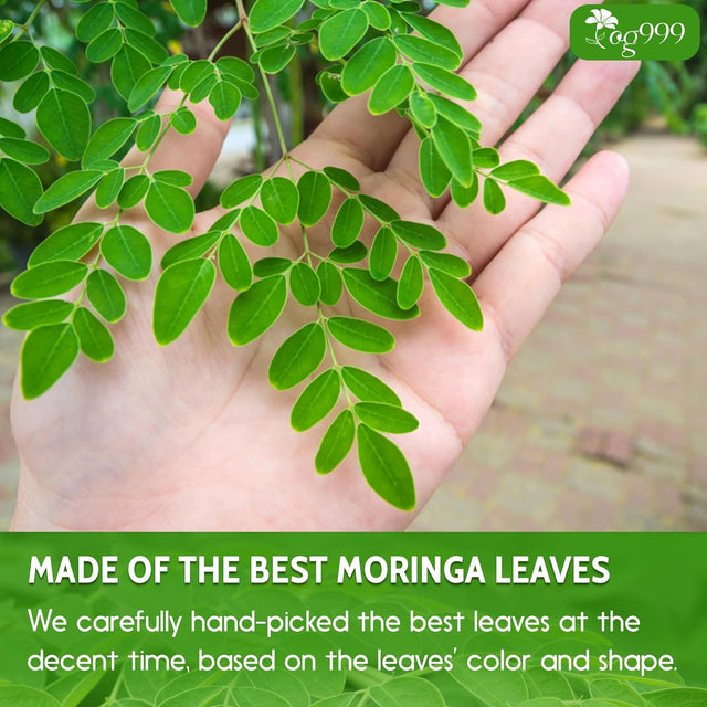 Premium Moringa Leaf Powder, 100% Natural and Pure from Moringa Leaves, No Additives, No Gluten, No Sugar, Vegan