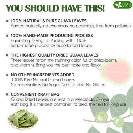FreshDrinkUS, Premium 100+ Natural Guava Leaves, Whole Dried Leaves, 100% Pure from Guava Leaves, Natural Guava Loose Leaf Herbal Tea, No Additives, No Caffeine, Vegan