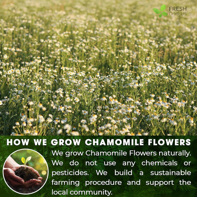 Chamomile Tea Bags, 100% Natural Chamomile, Freshly Picked, Naturally Dried Chamomile, Hand-made, Biodegradable Tea Bag - FreshDrinkUS - Natural and Premium Herbal Tea