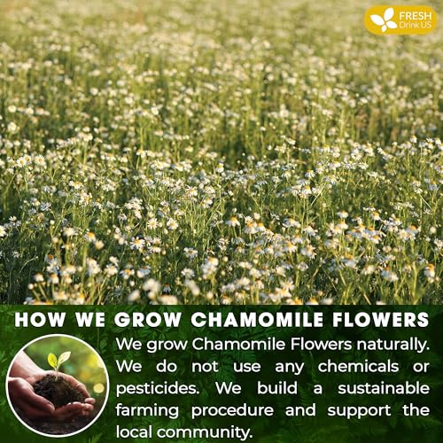 Smooth Sleep & Digest Duo, Chamomile Flower & Fennel Seed Herbal Tea Bags, 100% Natural & Pure Flowers and Seeds, Eco-Conscious & Biodegradable Tea Bags, No Sugar, No Caffeine, No Gluten, Vegan – Herbal Beverage