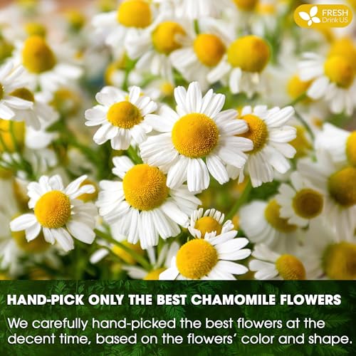 Smooth Sleep & Digest Duo, Chamomile Flower & Fennel Seed Herbal Tea Bags, 100% Natural & Pure Flowers and Seeds, Eco-Conscious & Biodegradable Tea Bags, No Sugar, No Caffeine, No Gluten, Vegan – Herbal Beverage