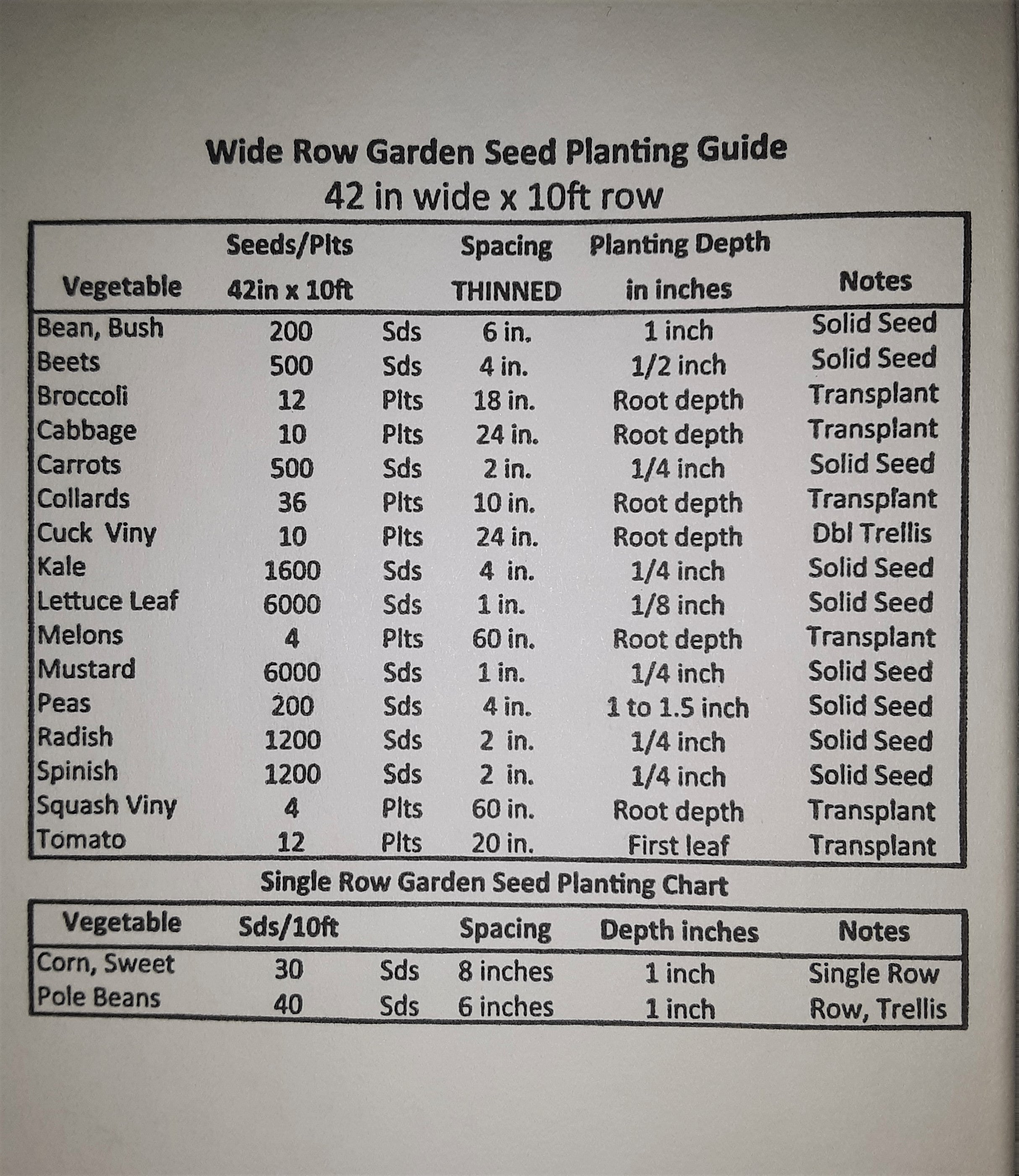 Hatch Valley Grown Piquin Hot Pepper Seeds