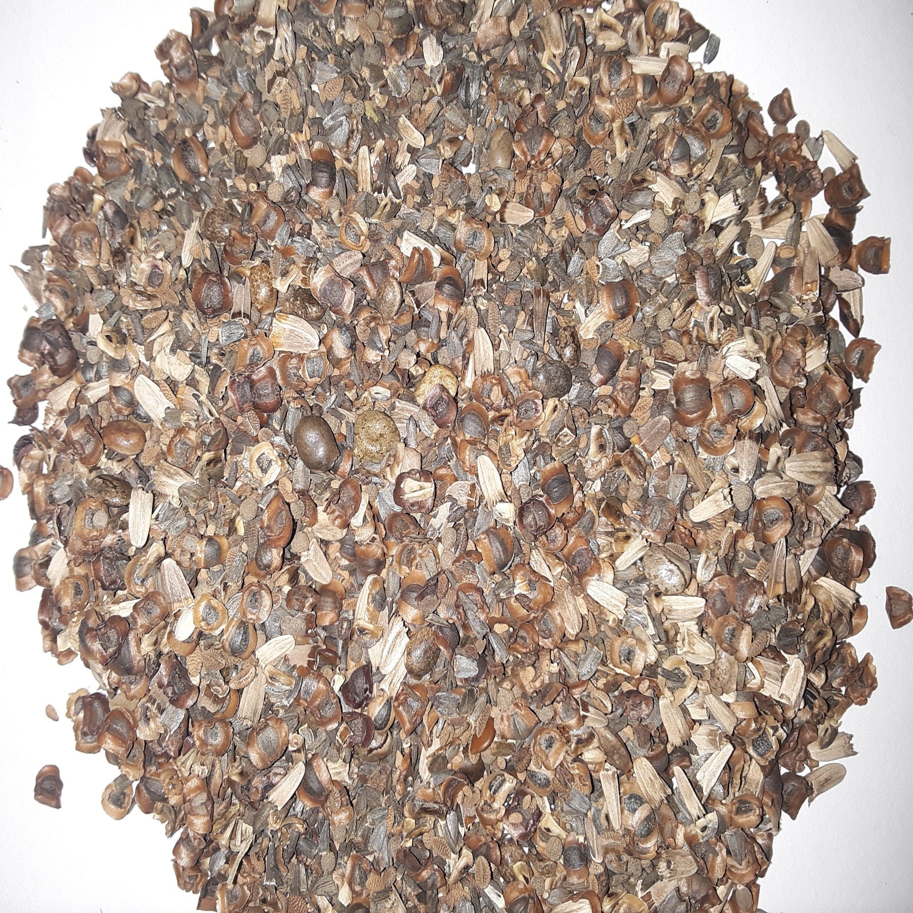 Bee Attractor Mix Seeds