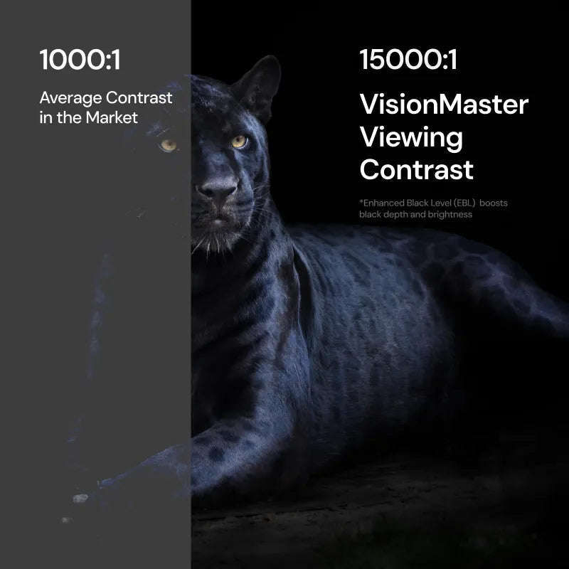 Valerion VisionMaster Pro 2 & Pro | 4K RGB Triple Laser Projector