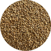 Browntop Millet