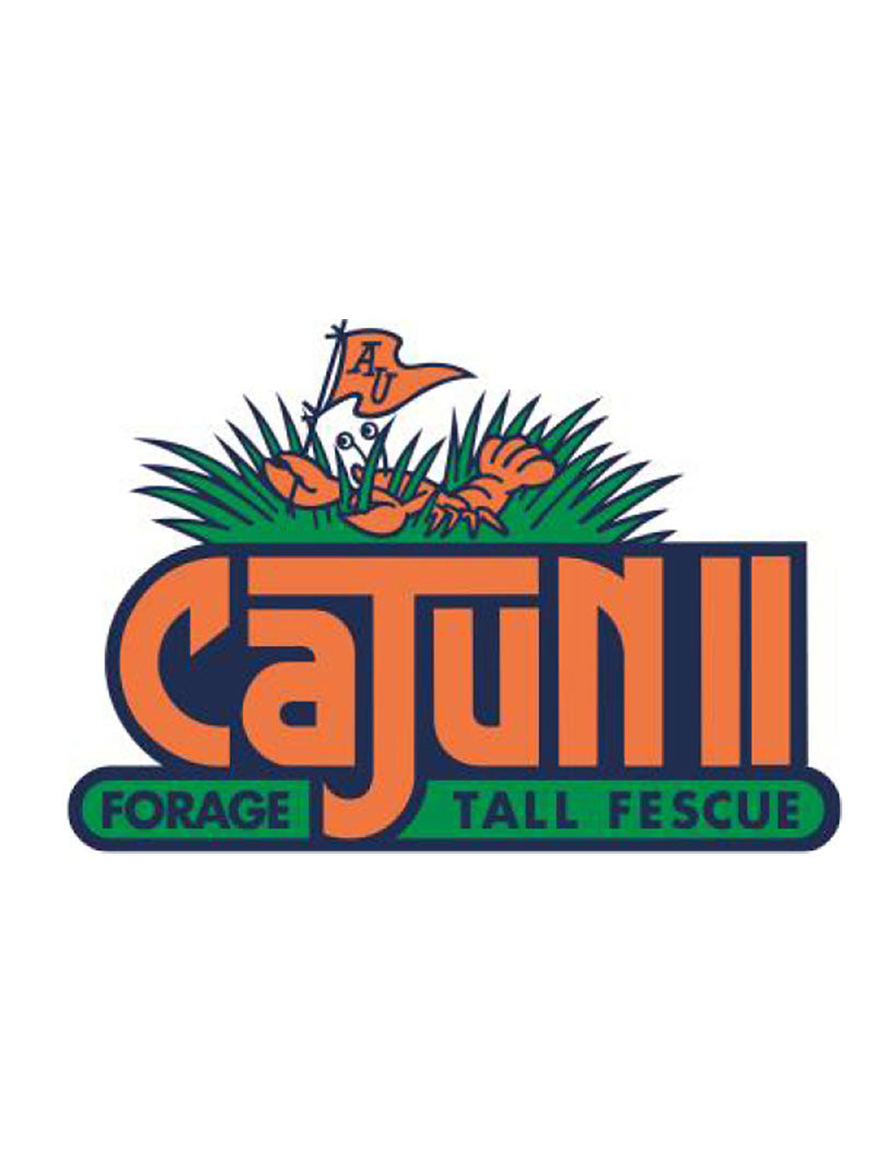 Cajun II Tall Fescue