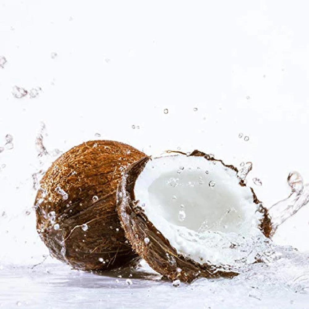 Chaokoh Coconut Gel in Syrup (Thạch Dừa) - 10.5oz