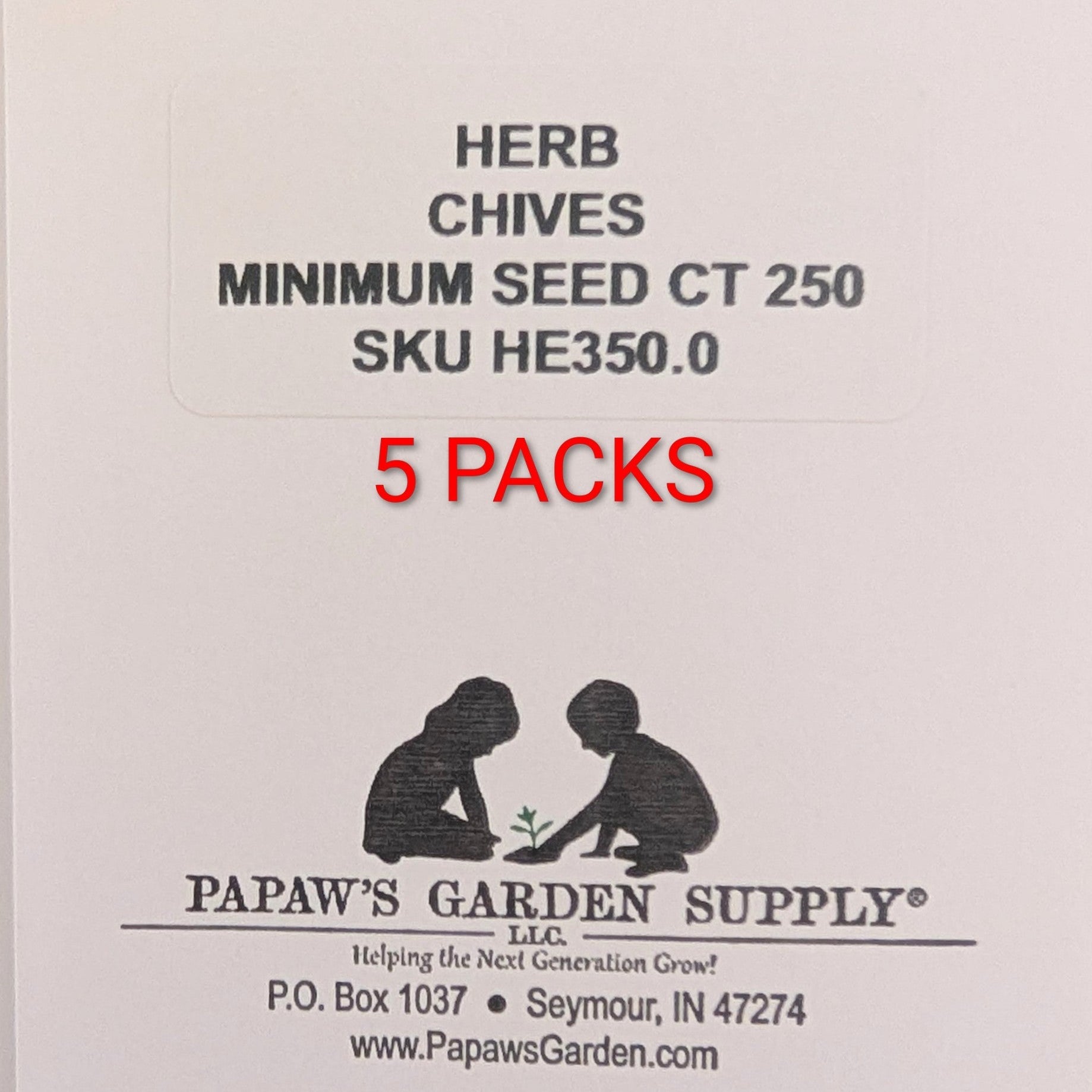 Herb, Chive Seeds