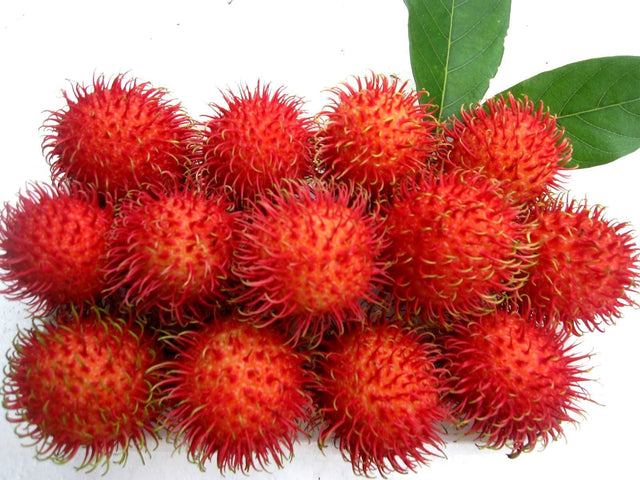 Fresh Rambutans - 1 Bag ( From 3 to 4 Lbs )