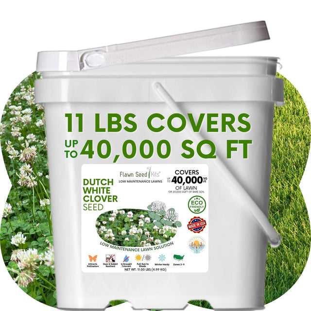 Dutch White Clover Seed