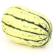 Delicata Winter Squash Seeds