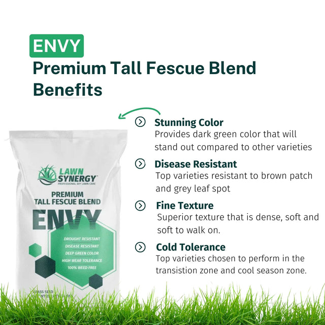 Envy Premium Tall Fescue Grass Seed Blend