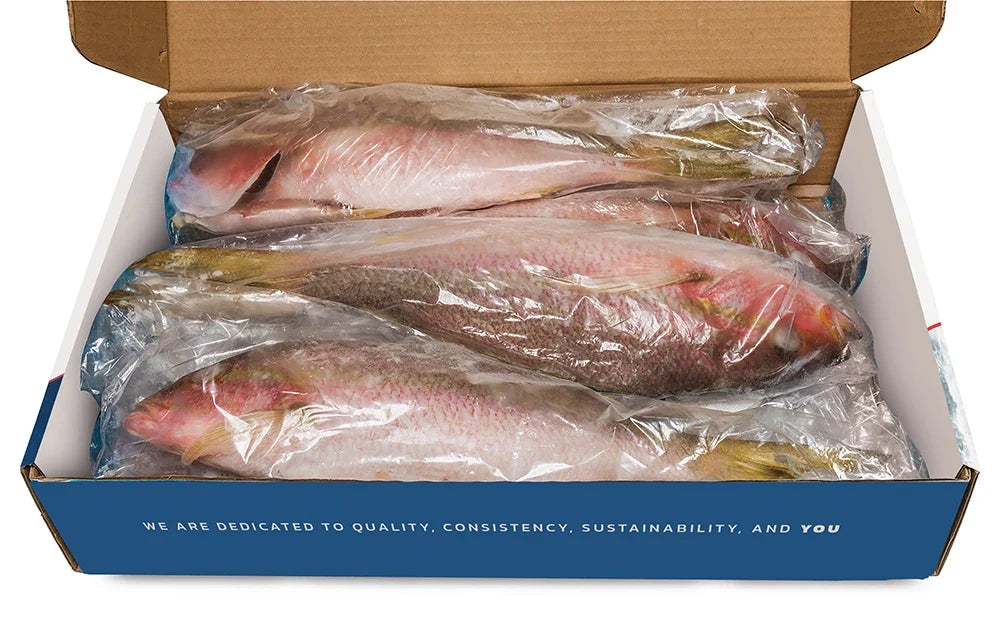 WILD CAUGHT YELLOW TAIL SNAPPER 1-2 POUNDS  (10 POUND BOX)