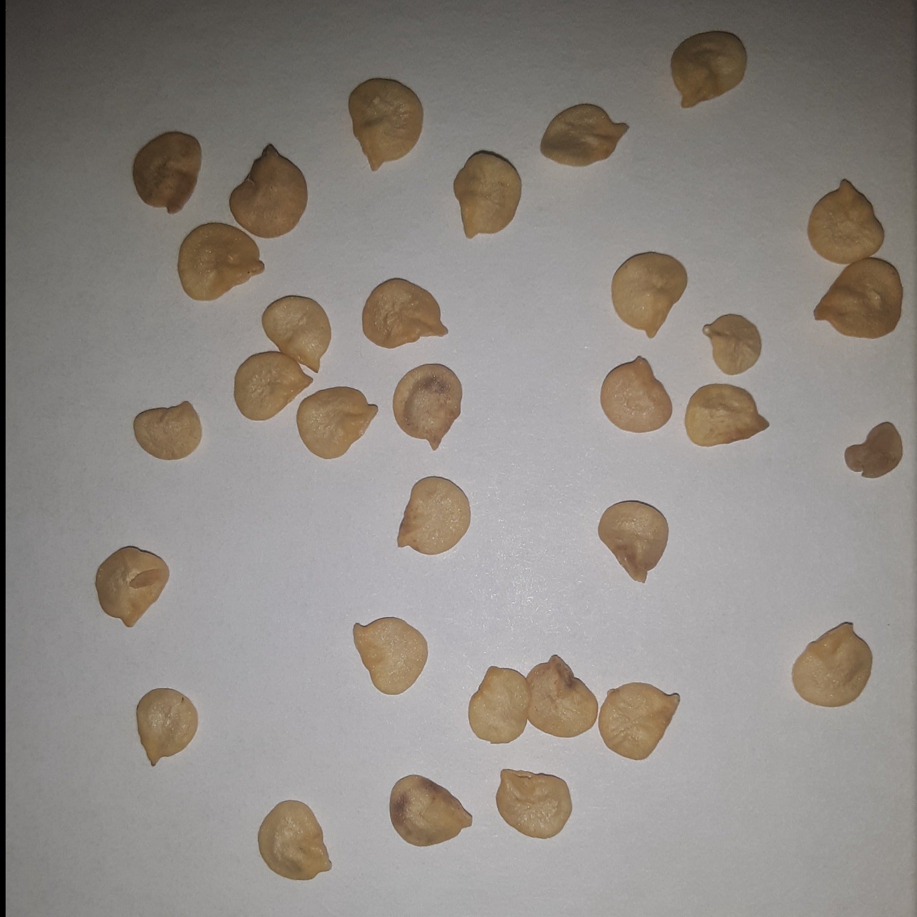 Hatch Cert. Big Jim Legacy Chile Hot Pepper Seeds