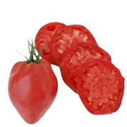 Hungarian Heart Heirloom Tomato Seeds
