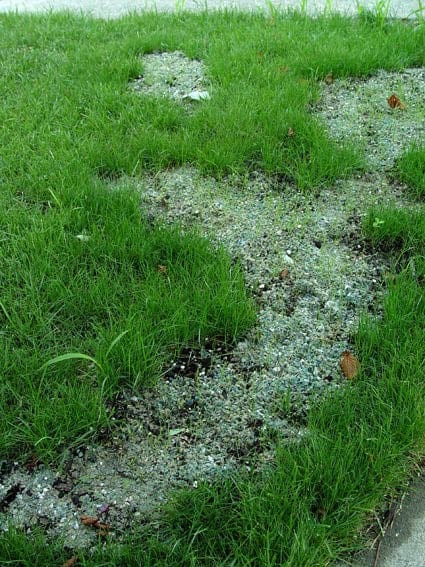 Seed Aide Cover Grow - Water Retaining Seed Starting Mulch