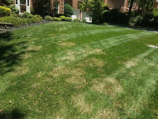 Headway G Fungicide