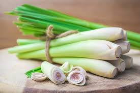 Lemongrass Fresh 8-12 Stalks from Trendoli Fresh.