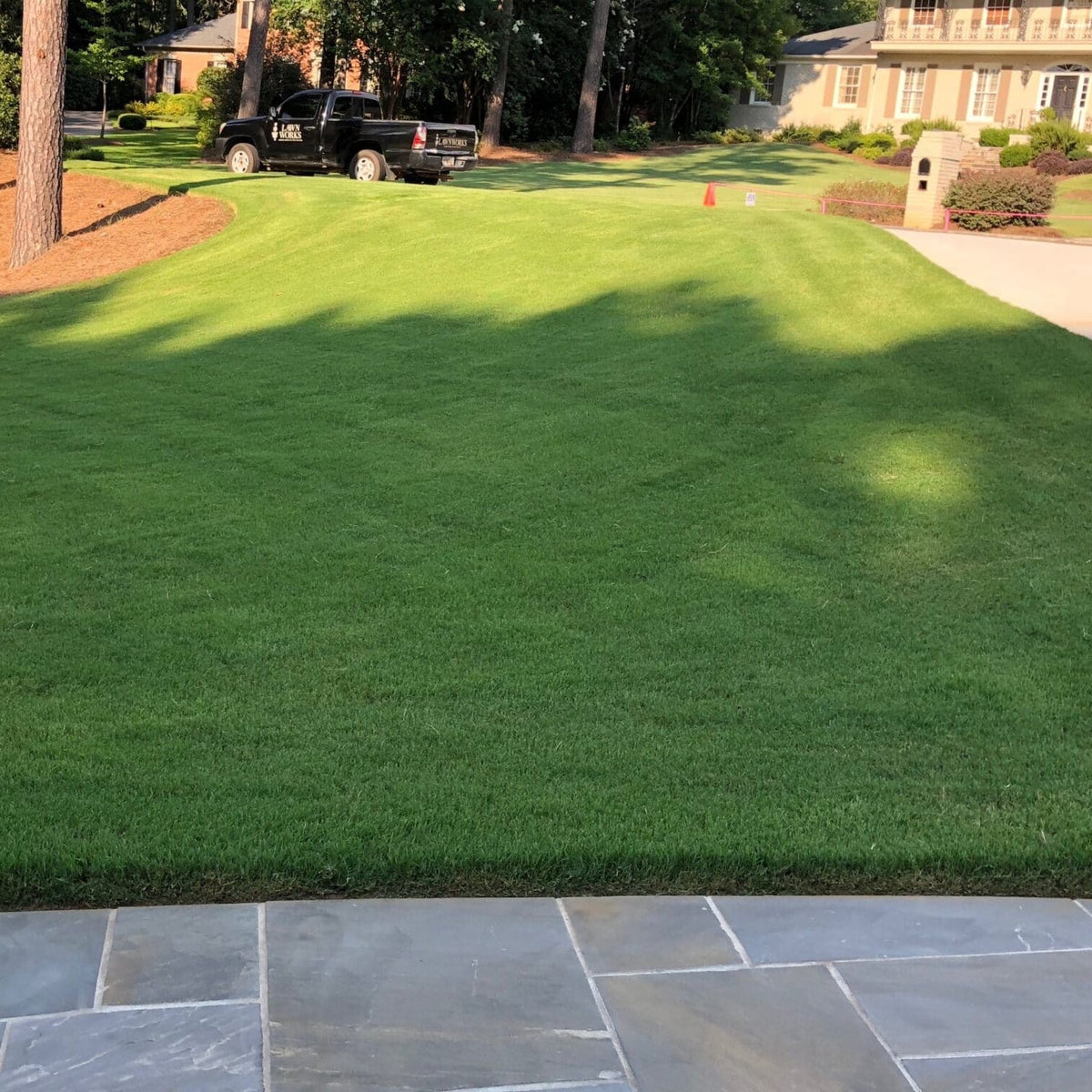 Southern Charm Bermuda Grass Seed