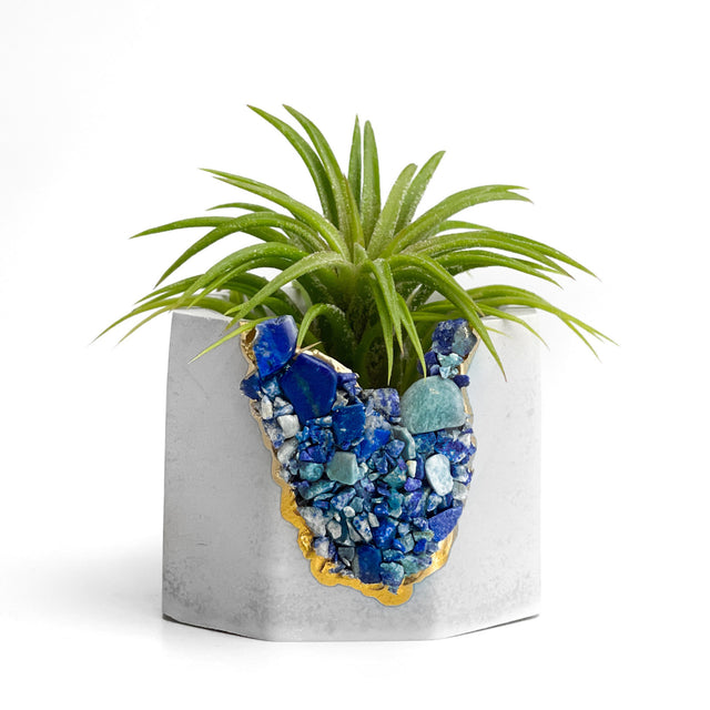 LAPIS LAZULI GEODE PLANTER