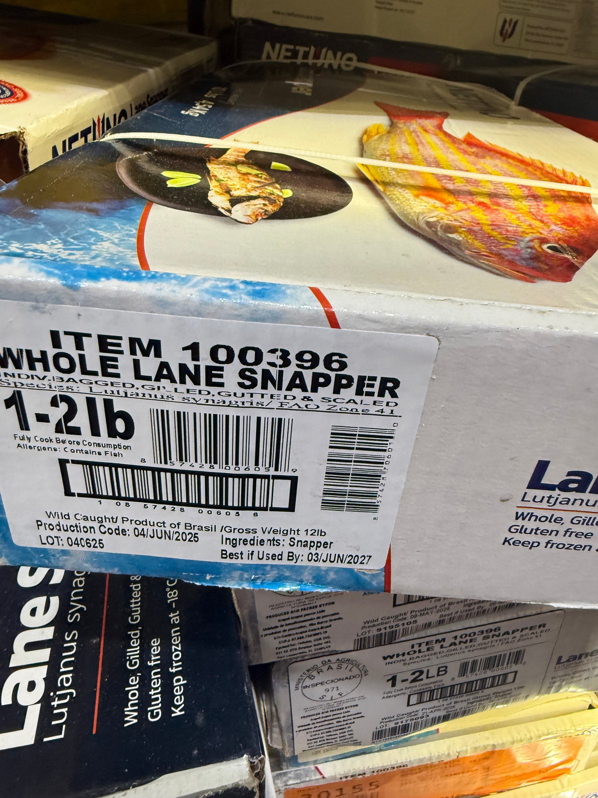 WILD CAUGHT YELLOW TAIL SNAPPER 1-2 POUNDS  (10 POUND BOX)