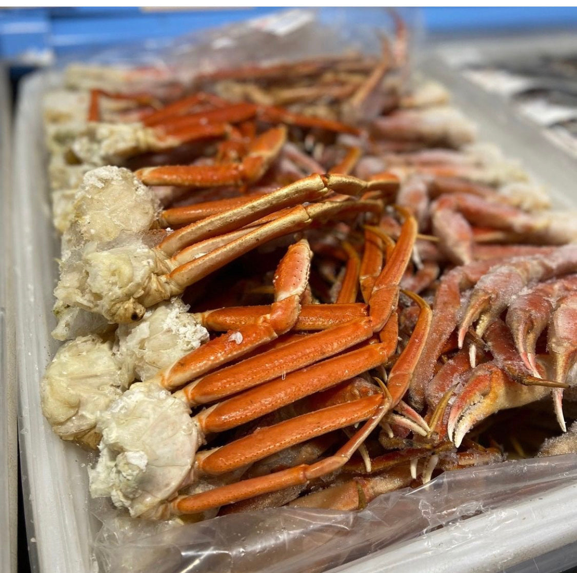 Jumbo Alaskan Snow Crab Clusters 8/10