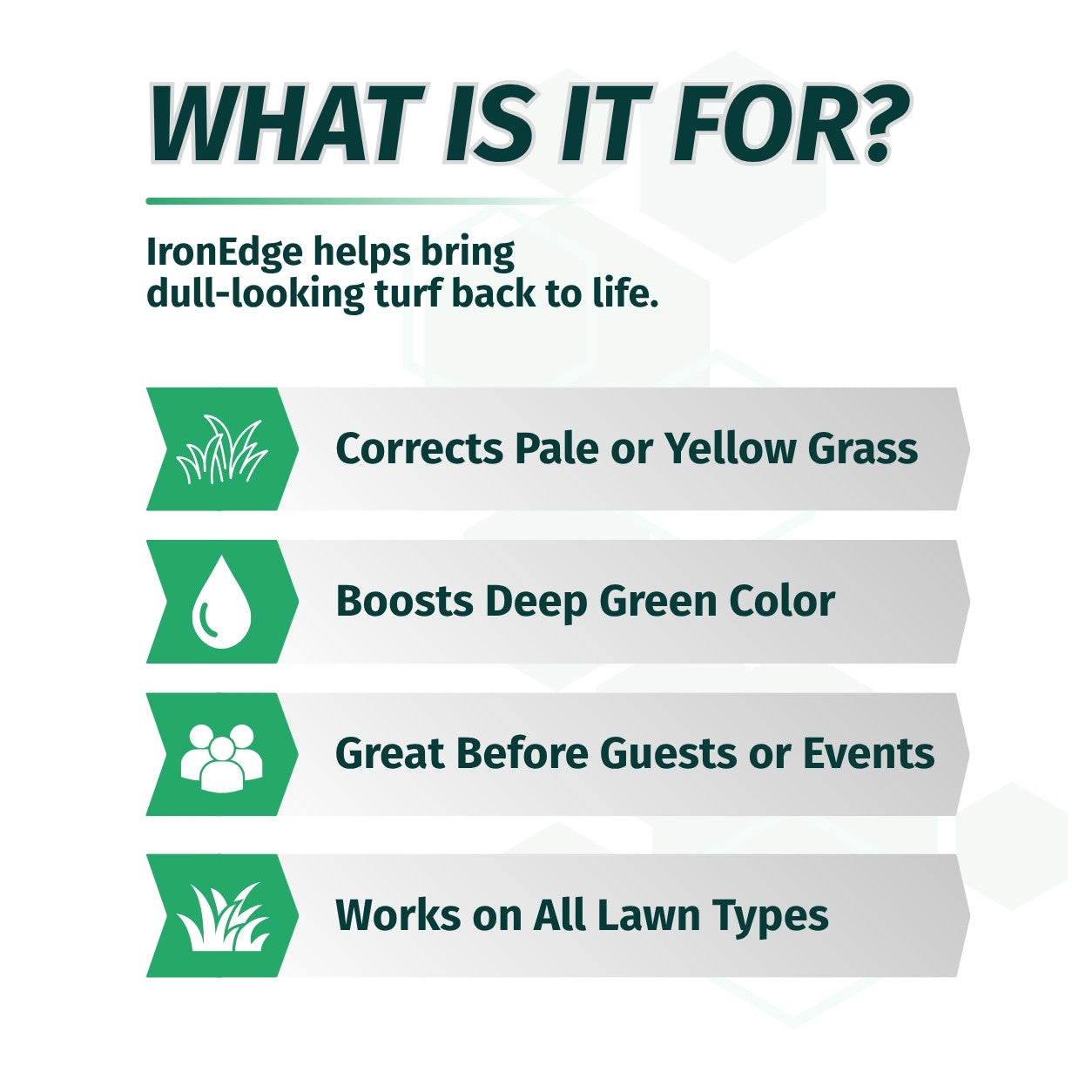 12-0-0 Chelated Liquid Iron Lawn Fertilizer