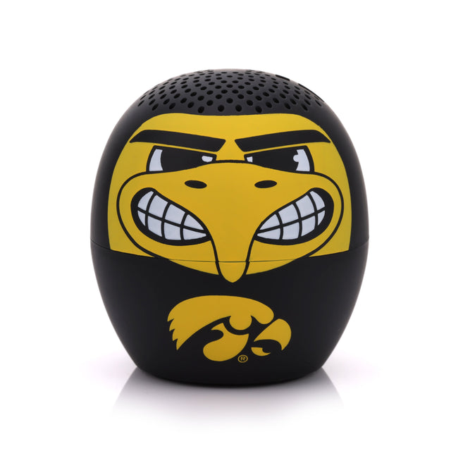 Iowa Hawkeyes