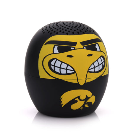 Iowa Hawkeyes