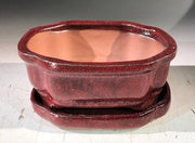 Parisian Red Ceramic Bonsai Pot -RectangleWith Humidity Drip Tray, 6" x