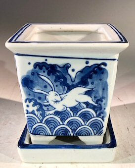 Blue on White Porcelain Bonsai Pot - Square With Attached Humidity