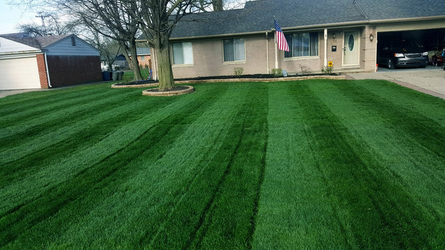 LESCO 46-0-0 Sprayable Urea – High-Nitrogen Turf Fertilizer