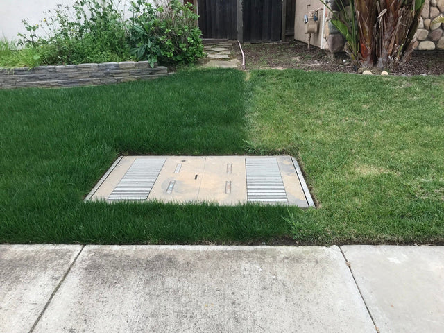 LESCO Estate Eagle Plus Grass Seed