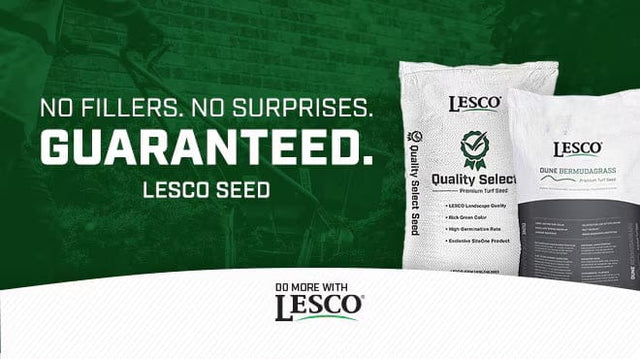 Lesco All Pro Transition Tall Fescue Grass Seed