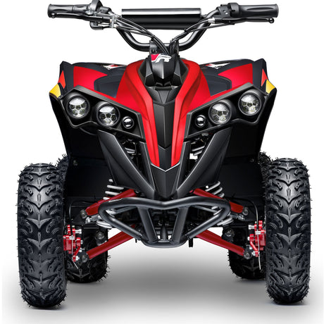 36V 1.0 kW Lead Acid ATV