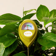 Moisture Meter