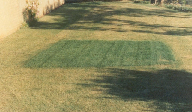 Hydretain ES Plus II