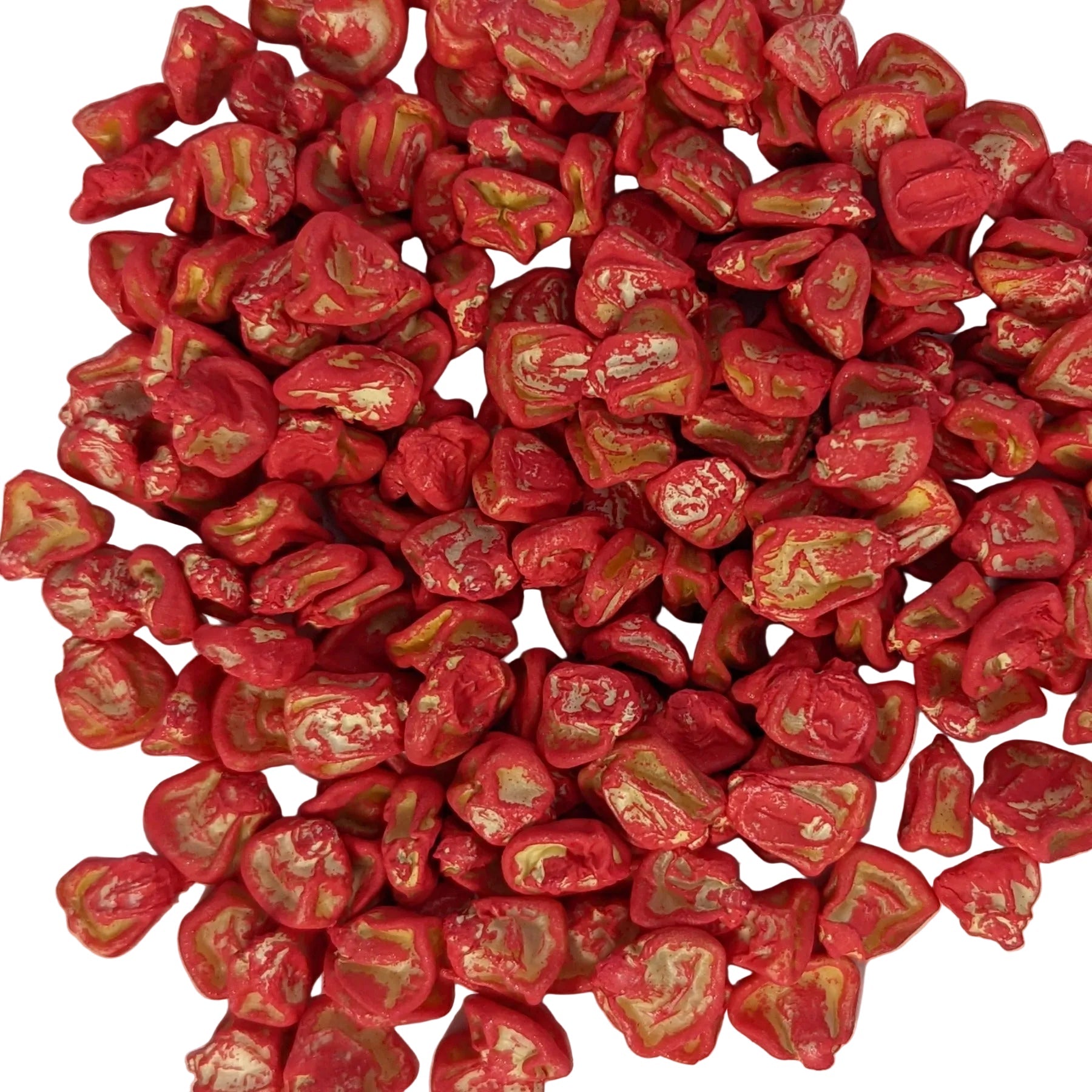 BOLT XR Extra Early 67 DAY Treated Bicolor Sweet Corn Seeds