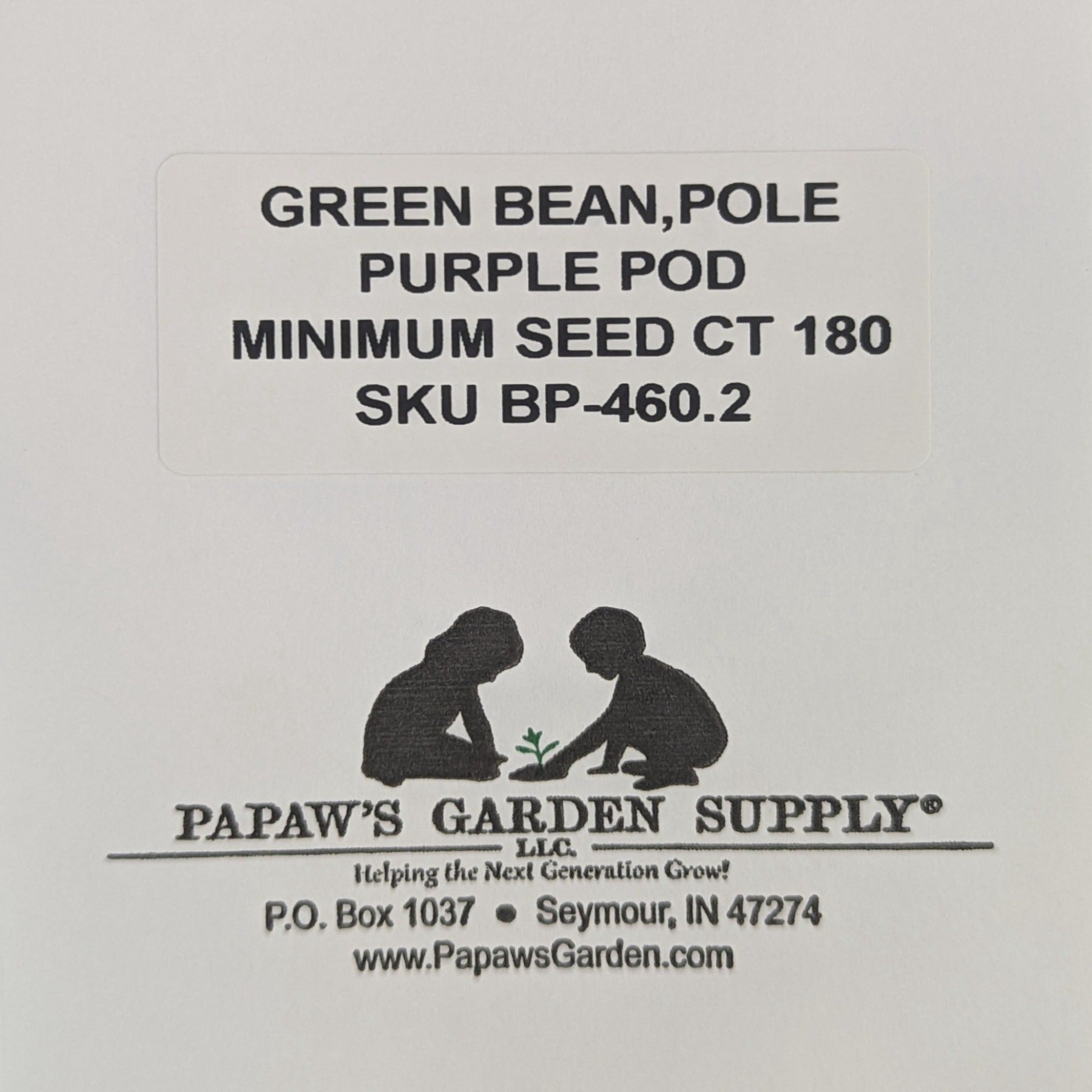 Purple pod Heirloom Pole Bean Seeds