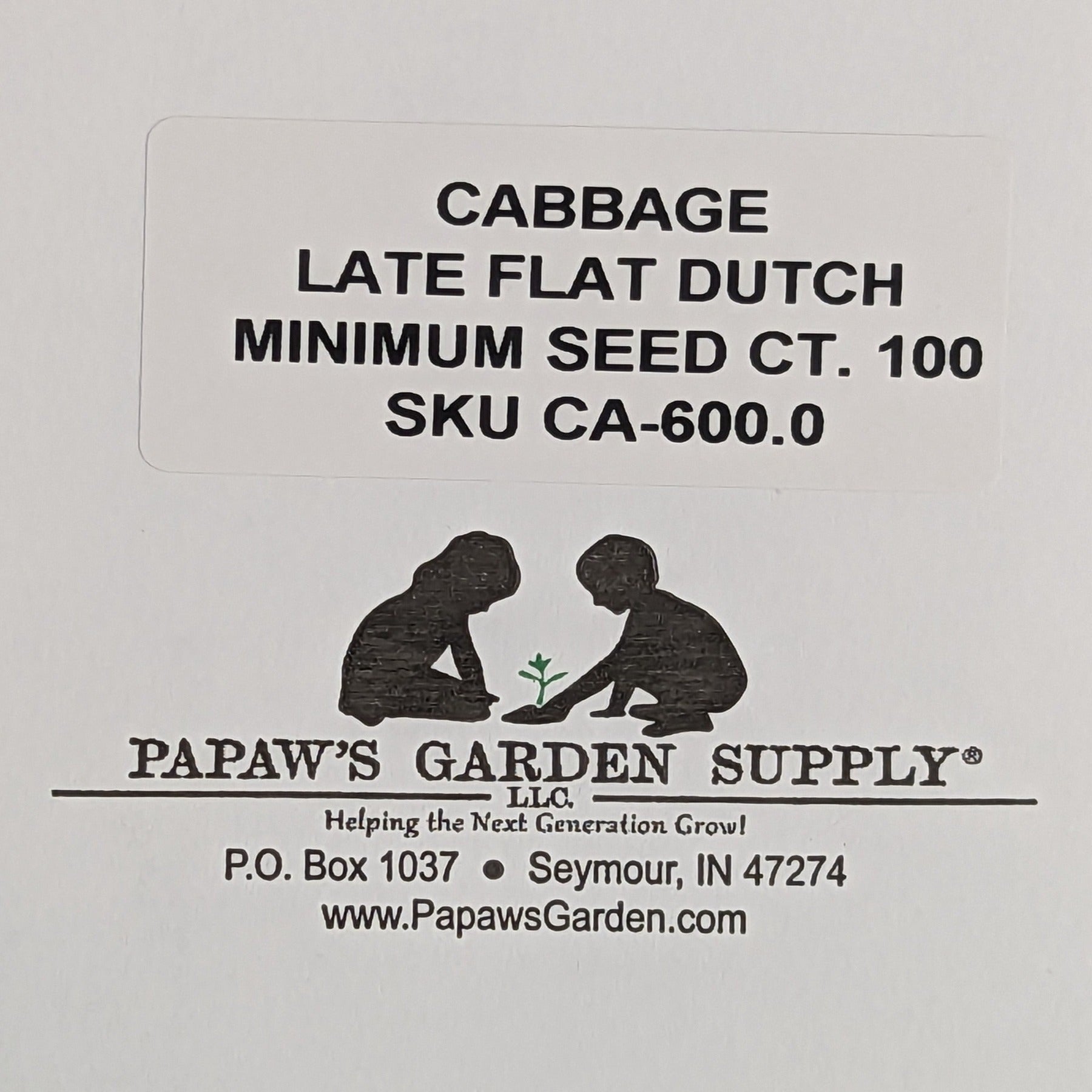 Late Flat Dutch Premium Heirloom Cabbage Seeds
